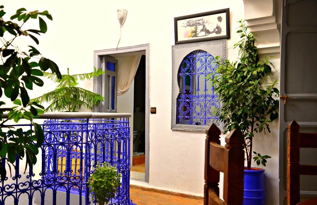 Riad Wink-1