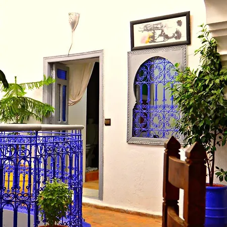 Riad Wink-2